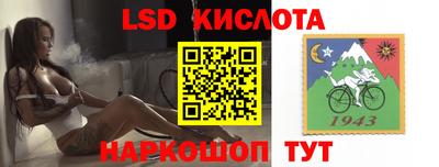 крисы Вязьма