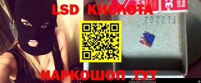 крисы Вязьма