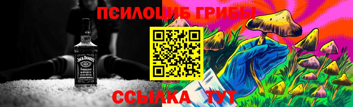 Псилоцибиновые грибы мицелий  Вход с VPN  Долгопрудный 